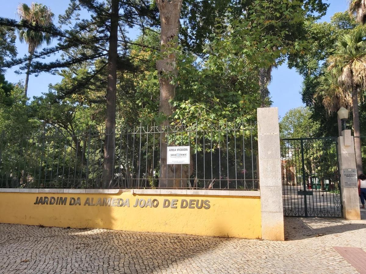 Casa Amarela: Conforto E Localizacao Perfeita! Faro Eksteriør billede